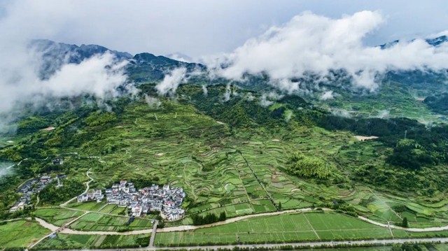 30bcd7b11e2a9f6edd40ba814ecf6f79.jpg 30bcd7b11e2a9f6edd40ba814ecf6f79.jpg