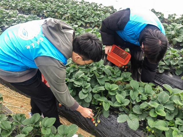 14b67811805ed75e0eaf6ad17b47c75a.jpg 14b67811805ed75e0eaf6ad17b47c75a.jpg