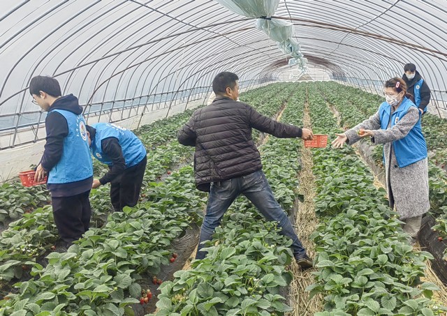 1e10a91e26cd268b5439056a3cedd882.jpg 1e10a91e26cd268b5439056a3cedd882.jpg